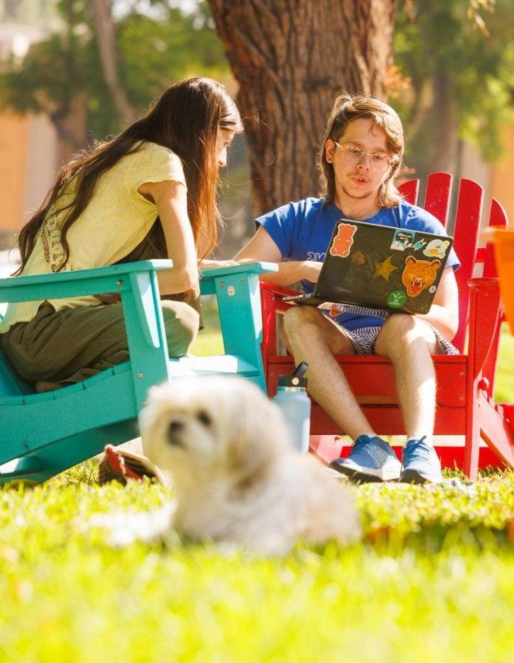 Pitzer students studying on their laptops on the Mounds